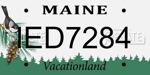 IED7284 Maine License Plate