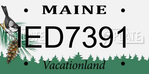 IED7391 Maine License Plate