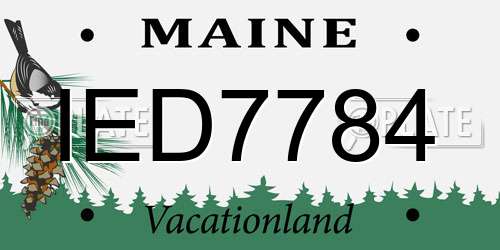 IED7784 Maine License Plate