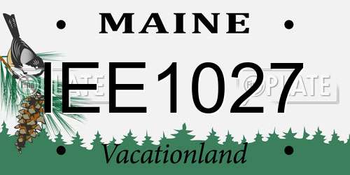 IEE1027 Maine License Plate