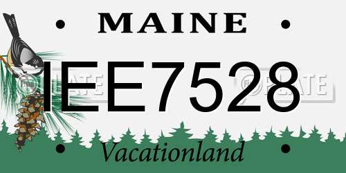 IEE7528 Maine License Plate