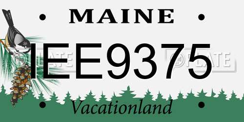 IEE9375 Maine License Plate