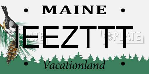 IEEZTTT Maine License Plate