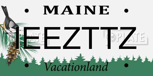 IEEZTTZ Maine License Plate