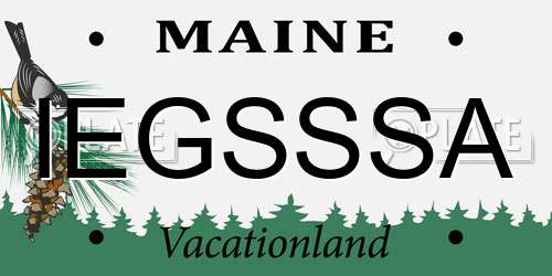 IEGSSSA Maine License Plate