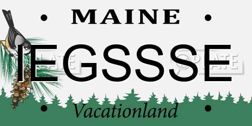 IEGSSSE Maine License Plate