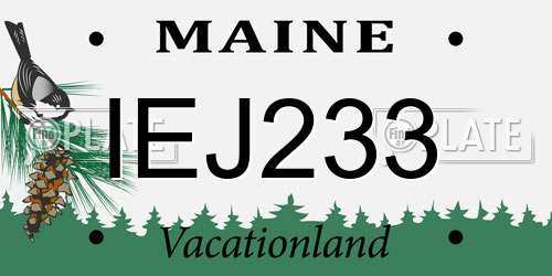 IEJ233 Maine License Plate
