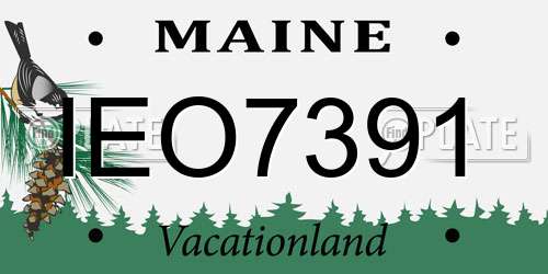 IEO7391 Maine License Plate
