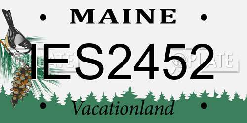 IES2452 Maine License Plate
