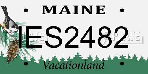IES2482 Maine License Plate