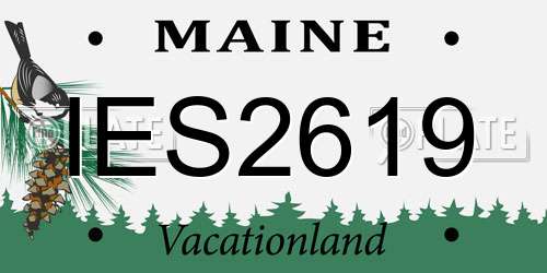 IES2619 Maine License Plate