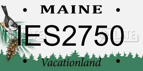 IES2750 Maine License Plate