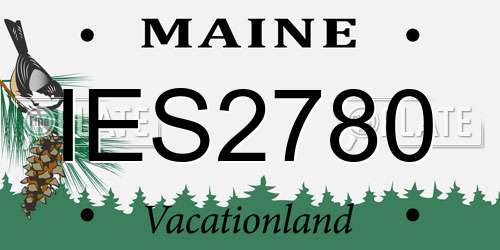 IES2780 Maine License Plate