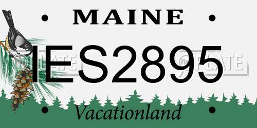 IES2895 Maine License Plate