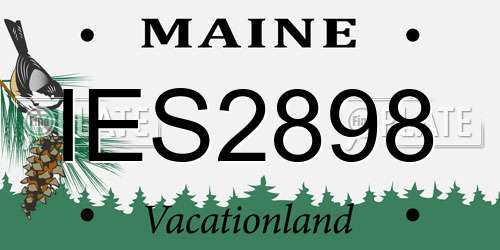 IES2898 Maine License Plate