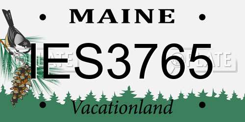 IES3765 Maine License Plate