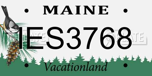 IES3768 Maine License Plate