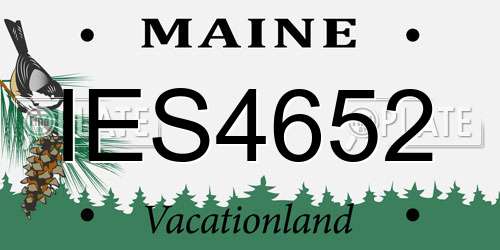 IES4652 Maine License Plate