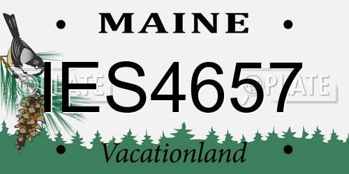 IES4657 Maine License Plate