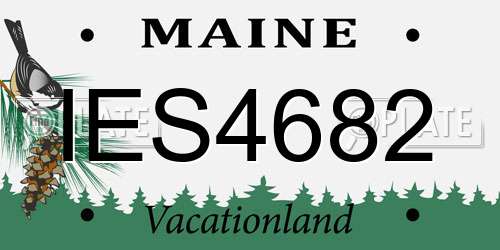 IES4682 Maine License Plate