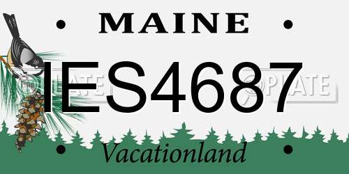 IES4687 Maine License Plate