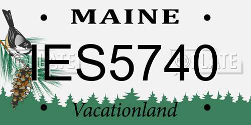 IES5740 Maine License Plate