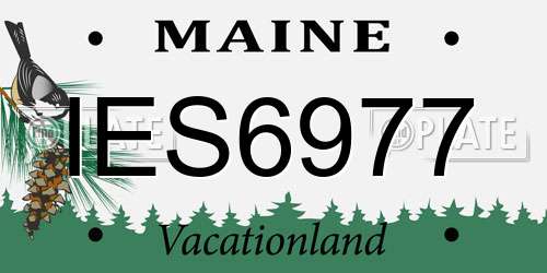 IES6977 Maine License Plate