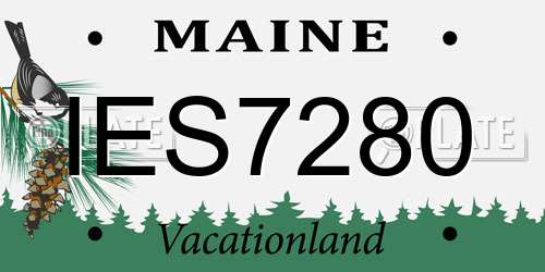 IES7280 Maine License Plate
