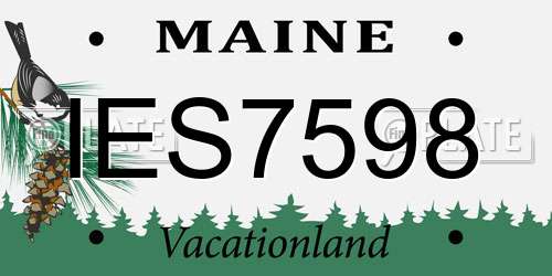 IES7598 Maine License Plate