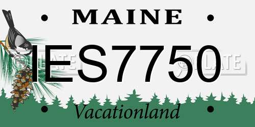 IES7750 Maine License Plate