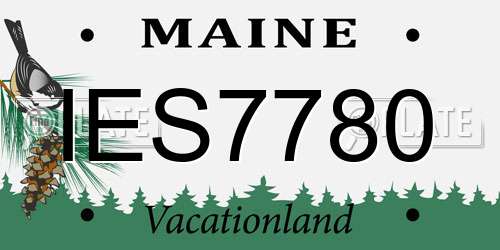 IES7780 Maine License Plate