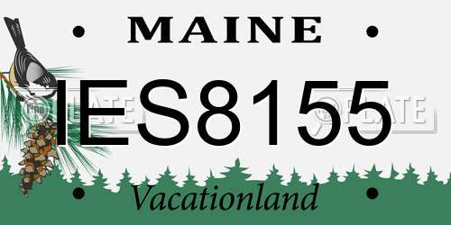 IES8155 Maine License Plate
