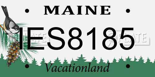 IES8185 Maine License Plate