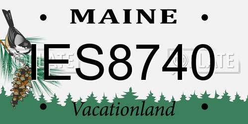 IES8740 Maine License Plate