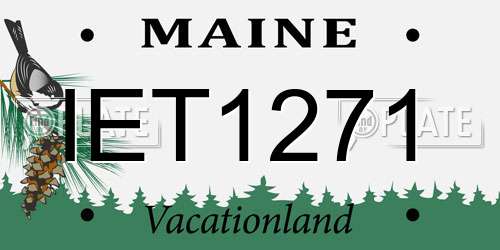 IET1271 Maine License Plate