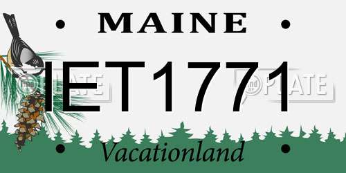 IET1771 Maine License Plate