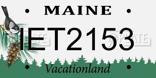 IET2153 Maine License Plate
