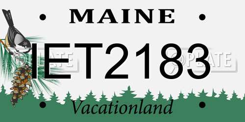 IET2183 Maine License Plate