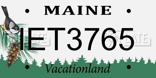 IET3765 Maine License Plate