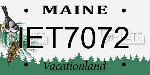 IET7072 Maine License Plate