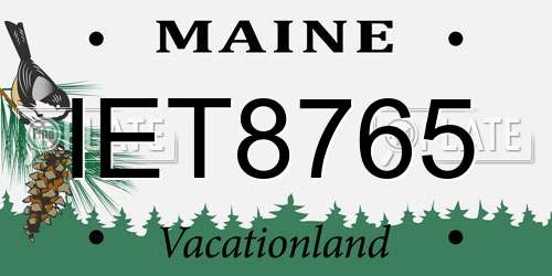 IET8765 Maine License Plate