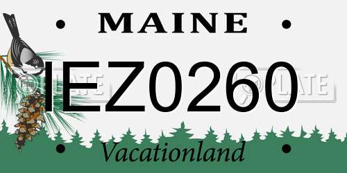 IEZ0260 Maine License Plate