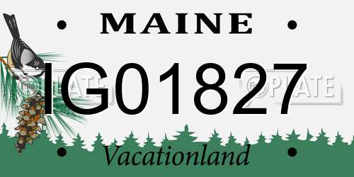 IG01827 Maine License Plate