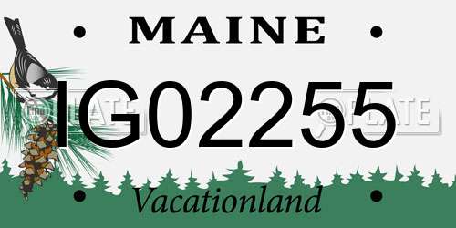 IG02255 Maine License Plate