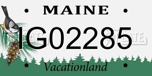 IG02285 Maine License Plate