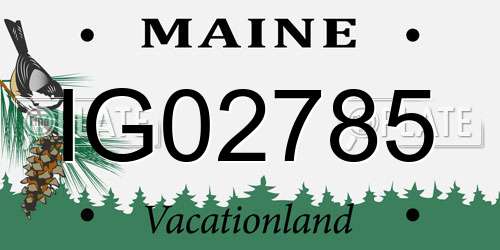 IG02785 Maine License Plate