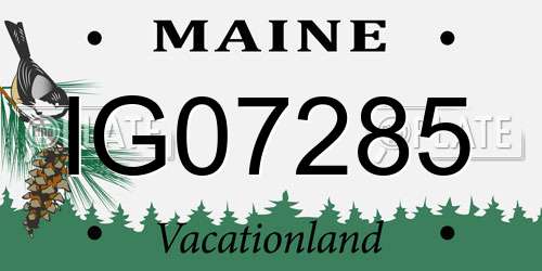 IG07285 Maine License Plate
