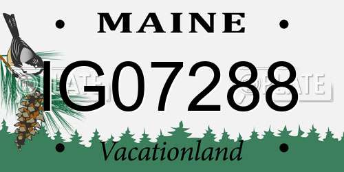 IG07288 Maine License Plate