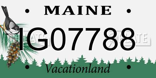 IG07788 Maine License Plate