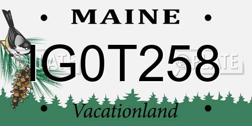 IG0T258 Maine License Plate